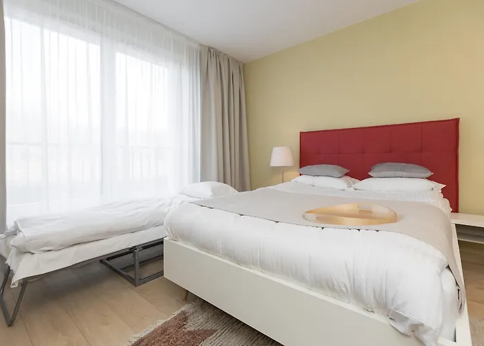 Hello Halicka 5 كراكوفيا